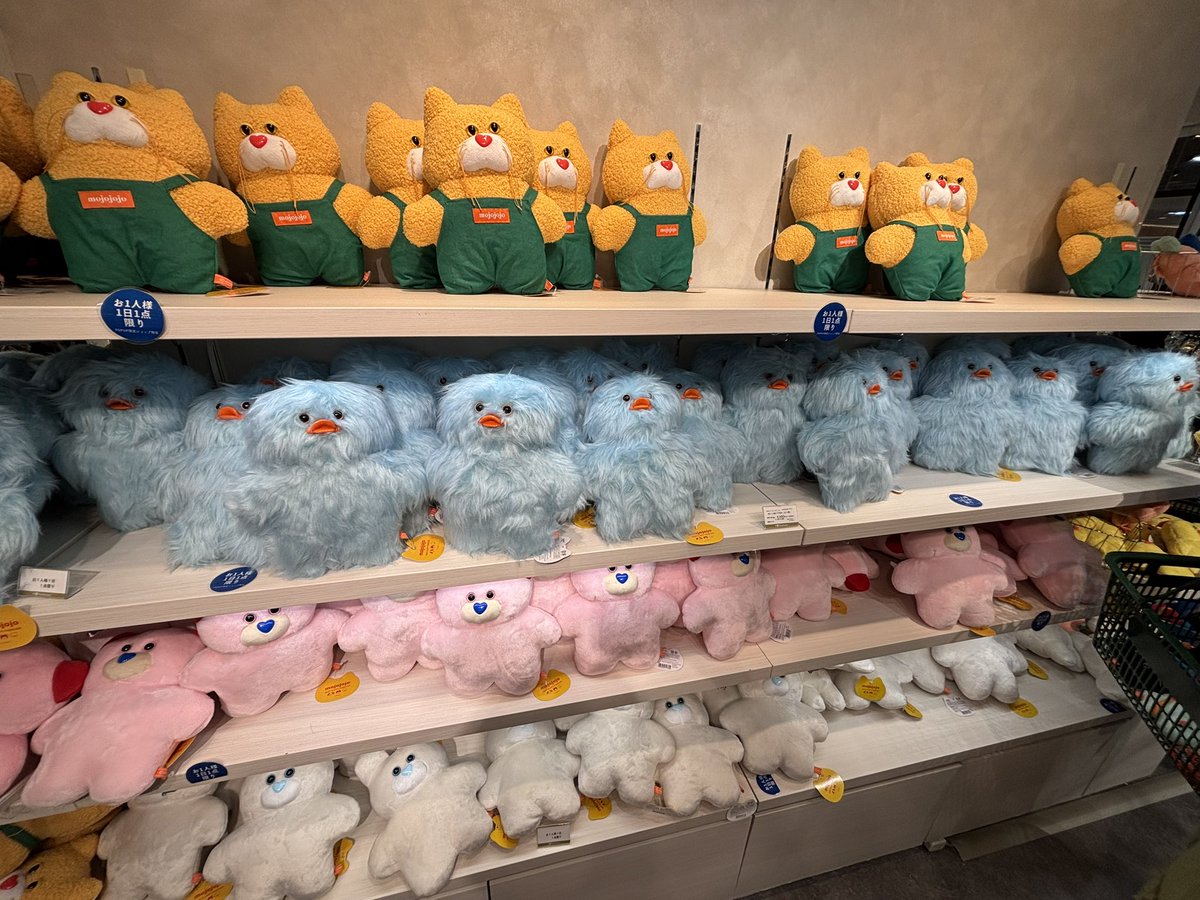 _a0wly's tweet photo. おーじくんと優斗くんの関係性素敵すぎるしなにか迷った時は人生の登場人物としてを聞いて前に進もうと思えてる、今も。ホームやってくれてすき。Zeppに立ってるパドルズもかっこよかった
名古屋のmojojojoポップアップ、推しのYou never knowとmint収穫してきたほんとにかわいい🐥 https://t.co/OYy1npzvnq