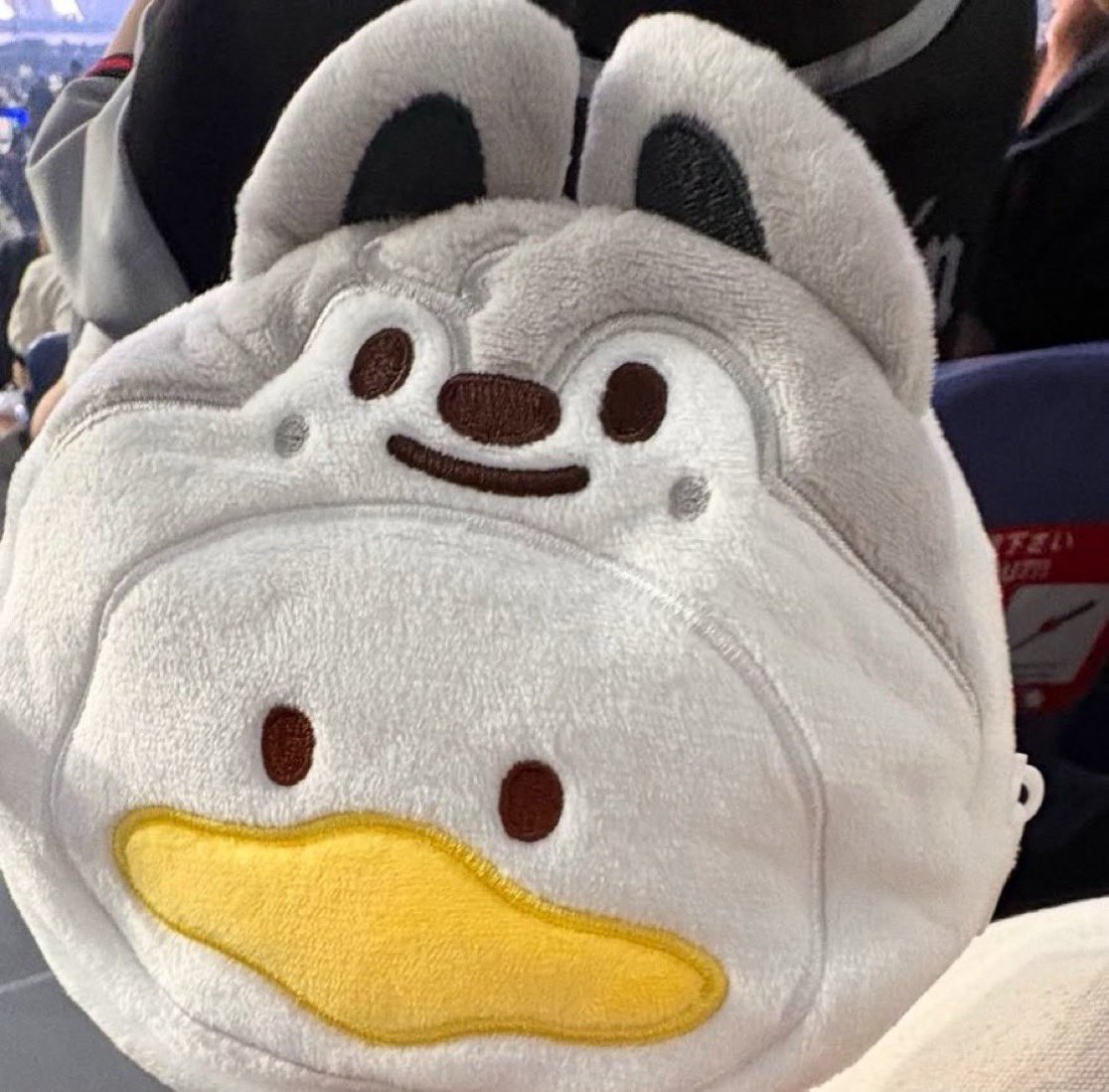 forwolfchan's tweet photo. so the reason why we didn’t see chan with pekkle at ALL was cause he threw it in the crowd… #ok #ThatsFine #LOL #😕 https://t.co/5ZDrCEflzA