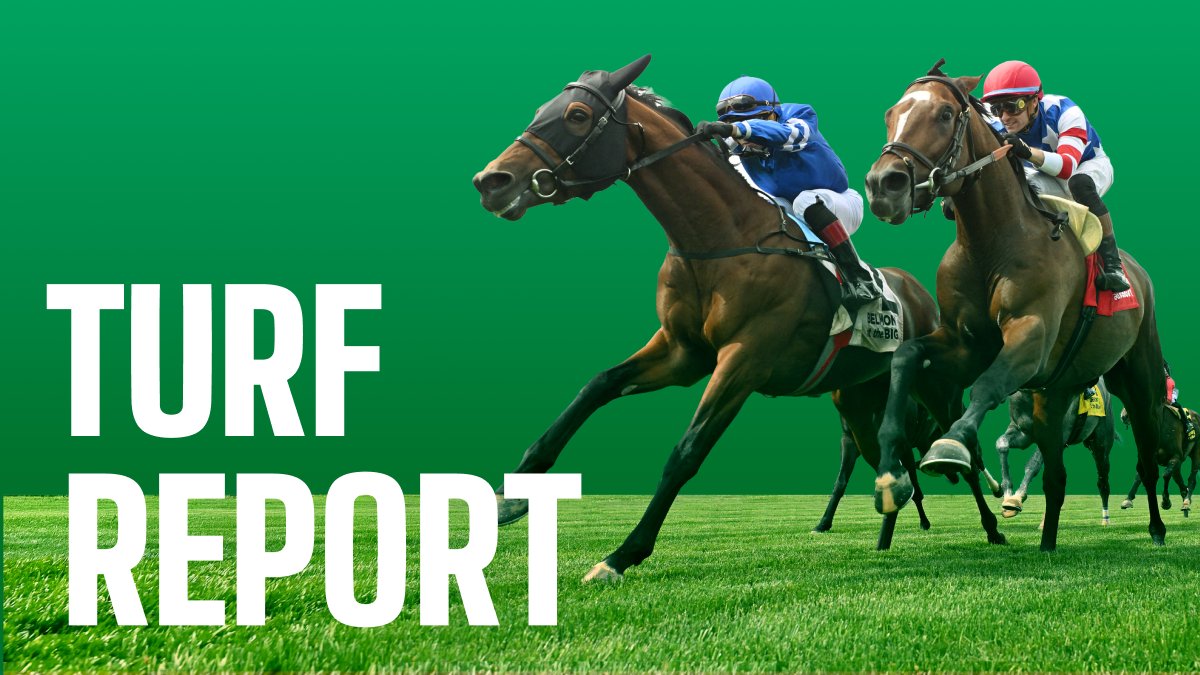 TheNYRA's tweet photo. Races 2, 5, 6, and 9 are off the turf and will be run on the Tapeta. Distance change in race 5 to 6f.
The Forever Together remains on the turf. https://t.co/GFZu683oTH