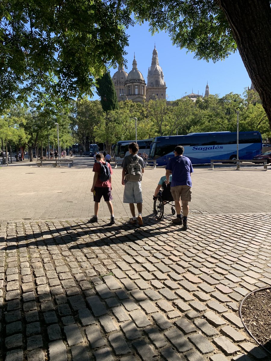 albaespilez's tweet photo. ⚠️ @laiabonetrull:  Cal que un bus públic arribi a la porta del @MNAC_cat per garantir l'accés a les persones amb cadira de rodes. No té sentit que hi hagi 20 busos turístics aparcats a l'entrada i que la ciutadania amb mobilitat reduïda no hi pugui arribar en transport públic ♿ https://t.co/2aWlyWtwc9