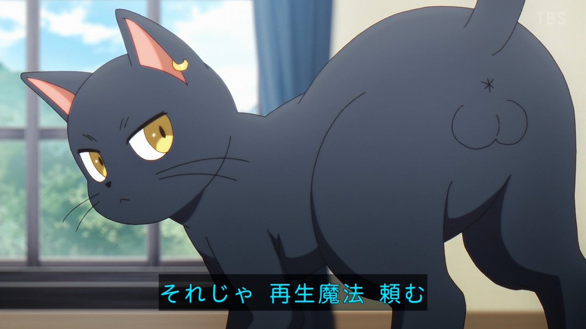 黒猫と魔女の教室 第24話 ツイート画像 1