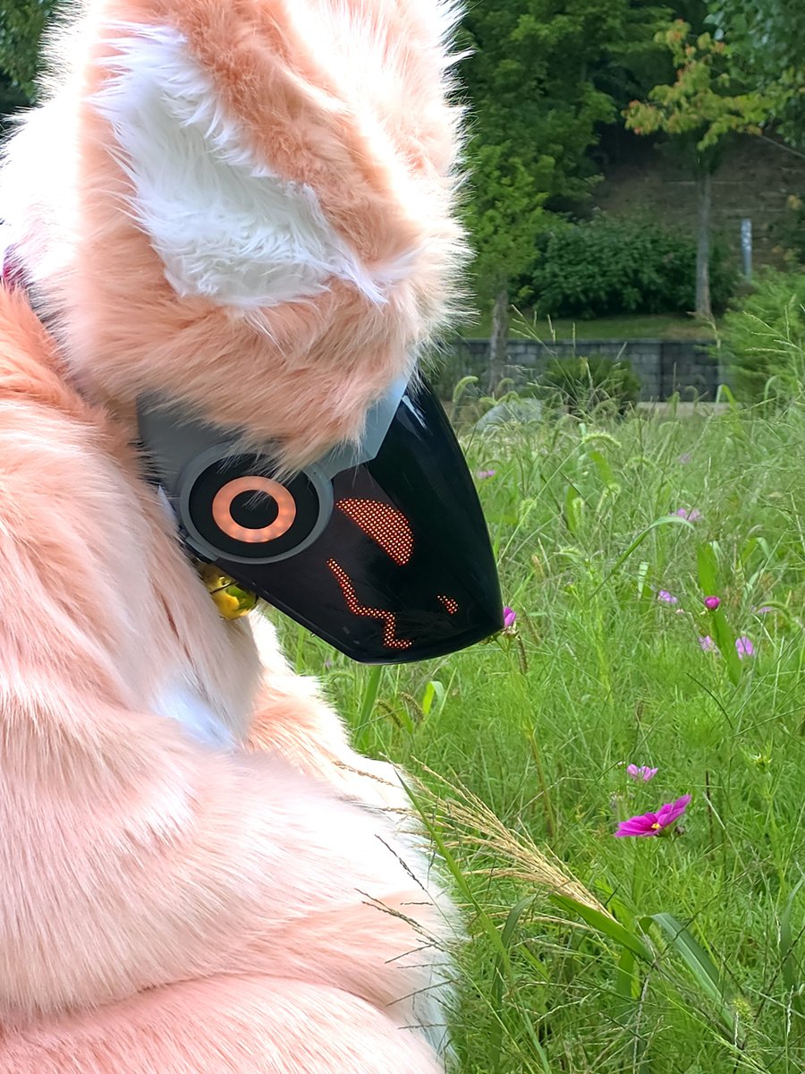 catp_ocket's tweet photo. 수목원에 왔어요!
#FursuitEveryday
#fursuit
#protogen https://t.co/Jrz6bW9JfU