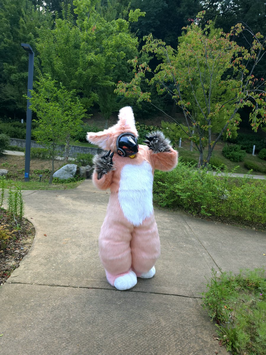 catp_ocket's tweet photo. 수목원에 왔어요!
#FursuitEveryday
#fursuit
#protogen https://t.co/Jrz6bW9JfU