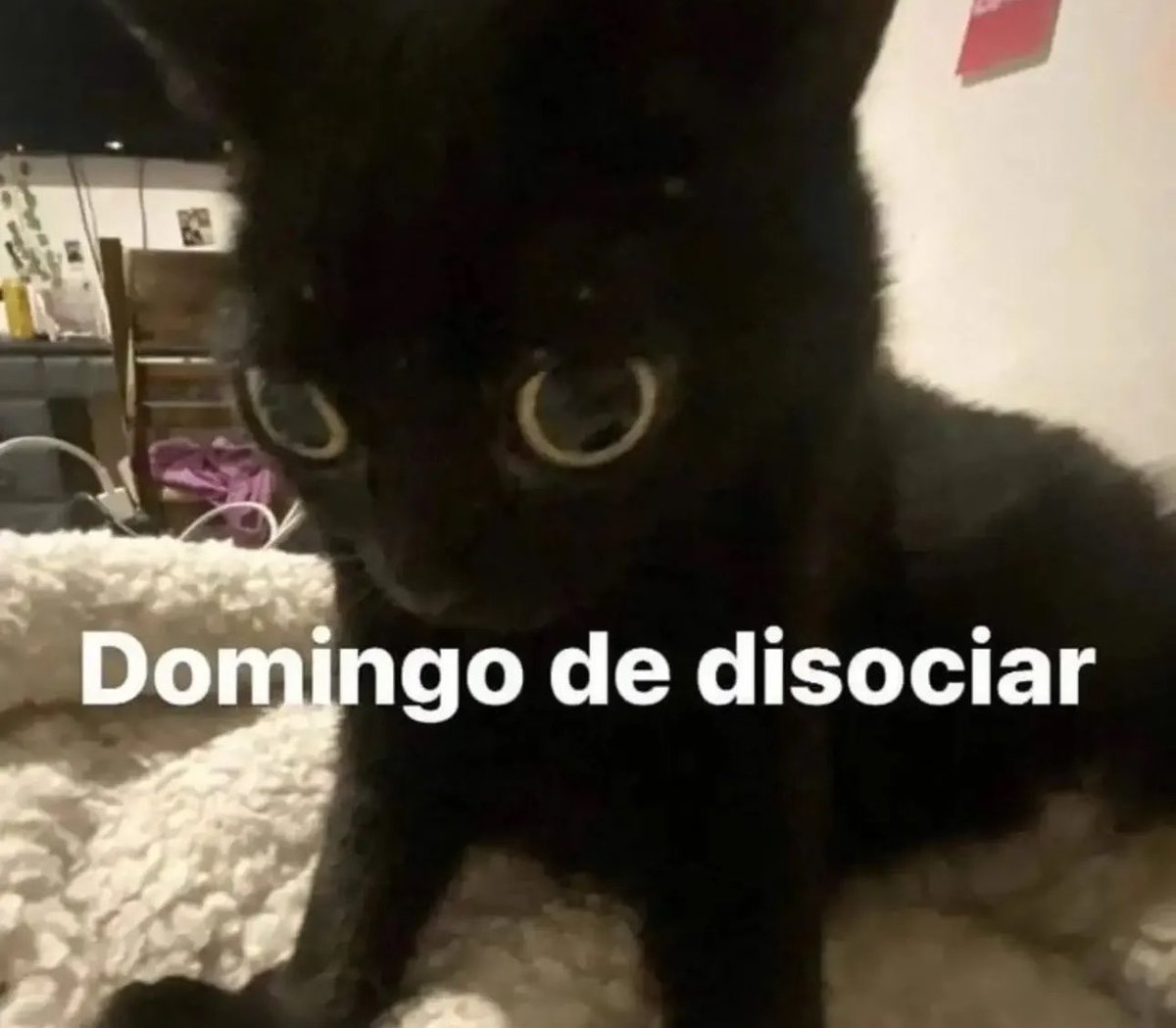 skereunpesado's tweet photo. https://t.co/XmN5RoLYlu
