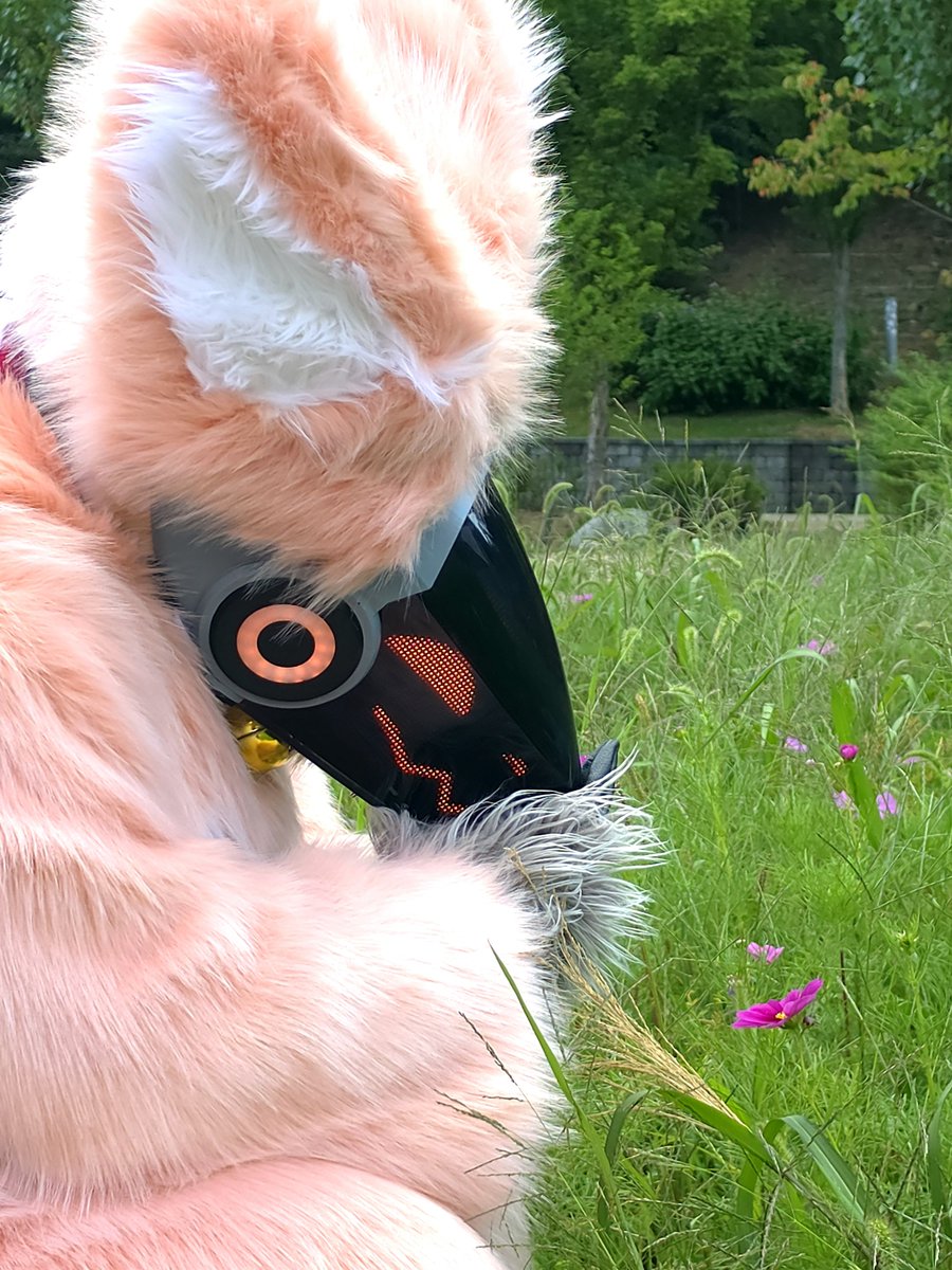 Chaoskai1's tweet photo. I came to the arboretum!
#fursuit
#FursuitEveryday
#protogen https://t.co/gOmR7vkEKD