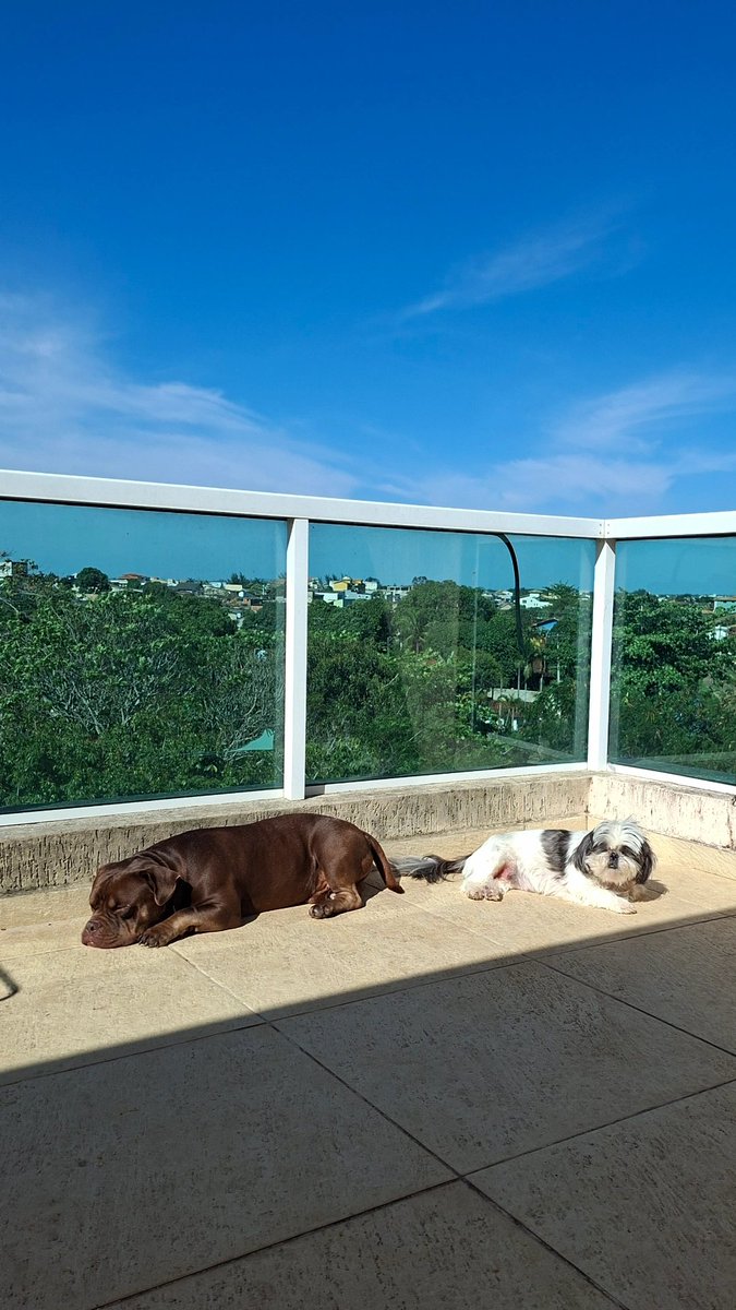 Fireboy_Be's tweet photo. Pegando Sol tal qual presidiários https://t.co/UaKHo0UHq6