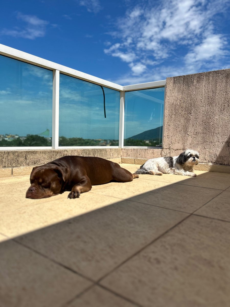 Fireboy_Be's tweet photo. Pegando Sol tal qual presidiários https://t.co/UaKHo0UHq6