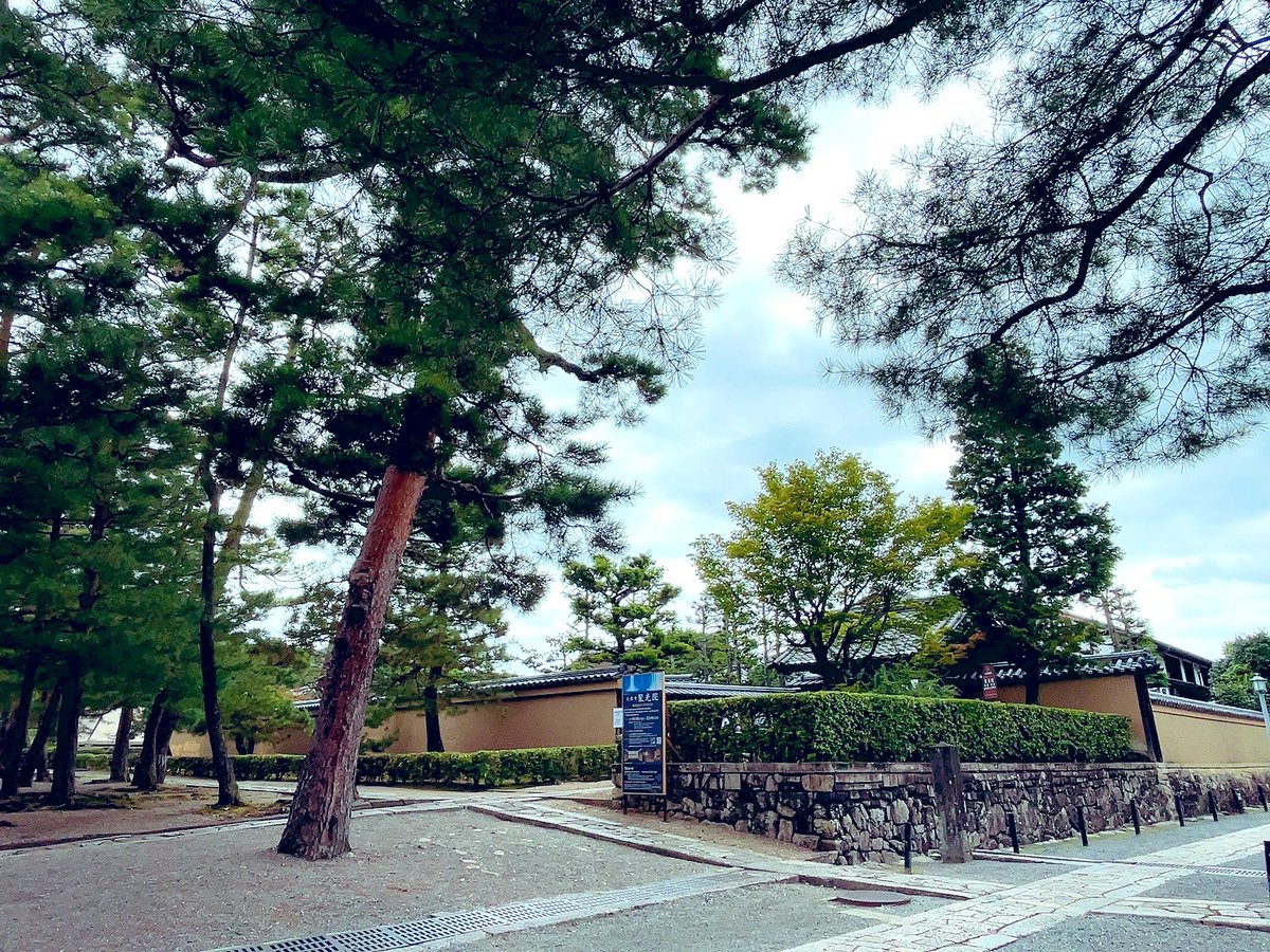 t_mikogami's tweet photo. 大徳寺は聚光院の特別公開に行ってきました！狩野永徳・松栄の障壁画が目当てでしたが千住博画伯の『滝』に圧倒されました…。
そして帰りはケーツーアイスさんへ🍨
紫蘇ライチ美味しすぎる!!ローズフランボワーズがメインの気分だったのに大逆転！ライチの上品な甘さと紫蘇の豊かな香味が合う！ https://t.co/BGXVSePqBx