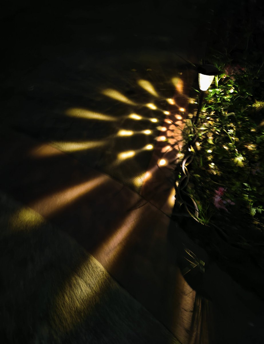 kkdes_0810's tweet photo. 💡🪷 https://t.co/QCjORXEkWI