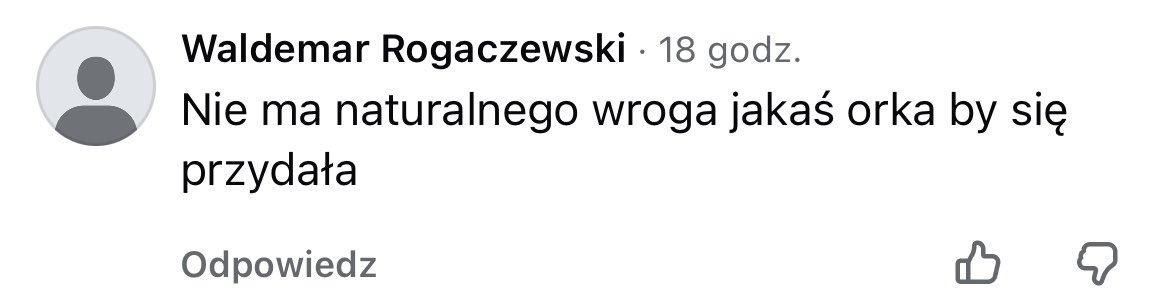 starsforyoongs's tweet photo. Foki vs wkurzeni rybacy to moje ulubione uniwersum na Facebooku https://t.co/qcT9TF4UM9