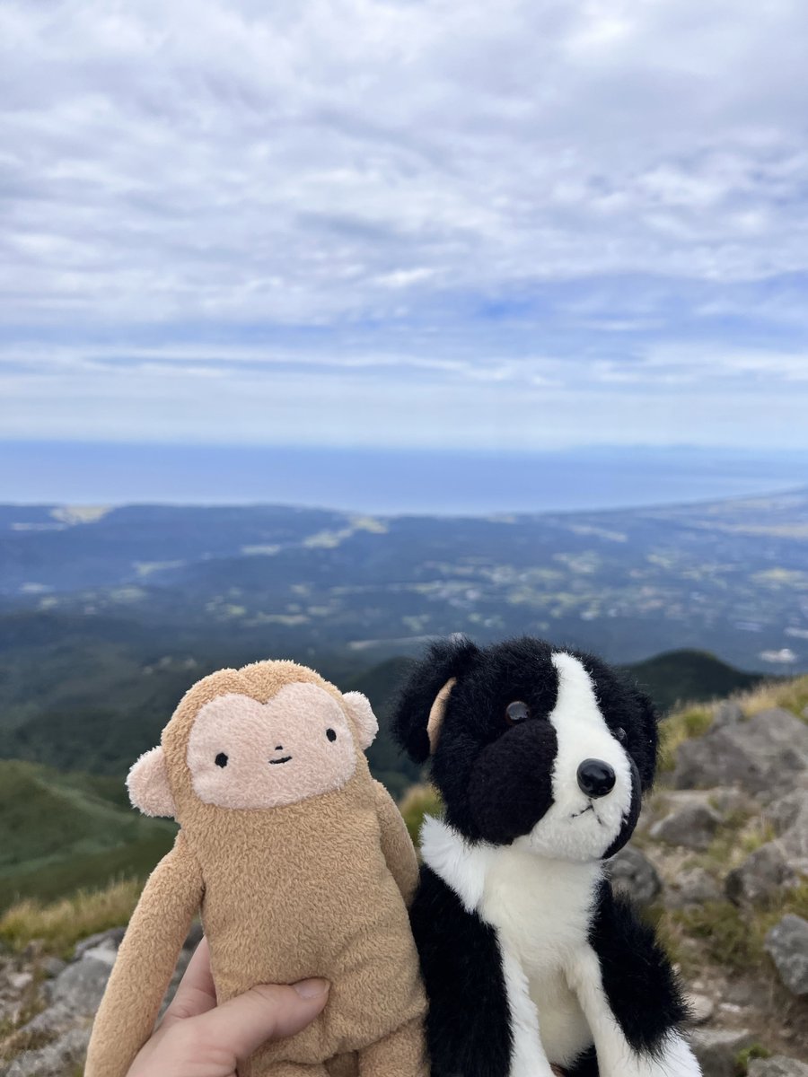 CarolineFogmf's tweet photo. Vai estar lá pra sentar? Vai estar forte pra nem precisar dela? https://t.co/GQDjpYemJx