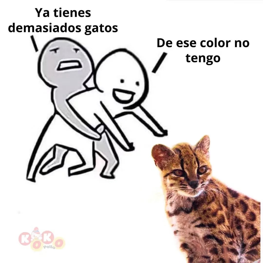 RincnCuriosoo's tweet photo. Un michi es un michi, sin importar tamaño, color (o especie🤭) https://t.co/Uj6BvtXDeg