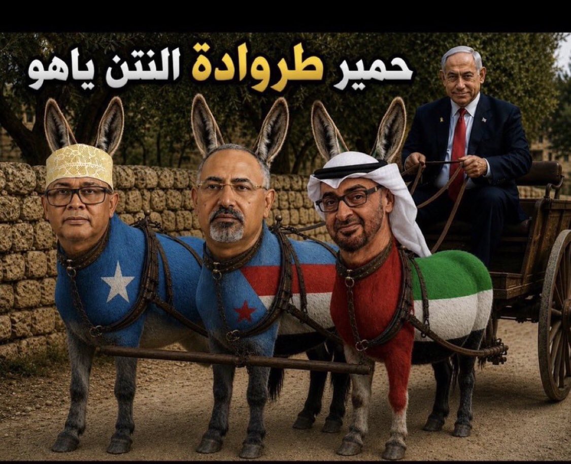 KhadraLama's tweet photo. @TNTAbuDhAbi https://t.co/rP00xdTsDT