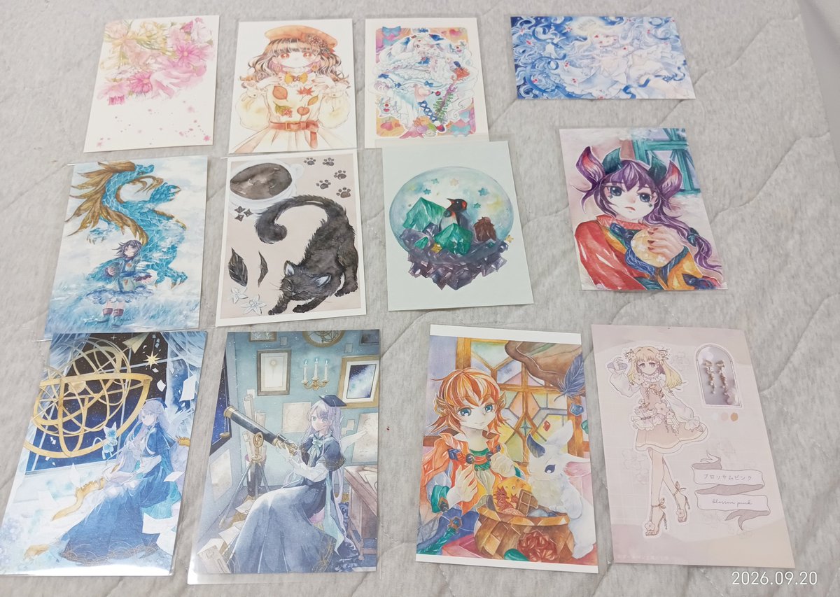 shichilia_lotus's tweet photo. #plusP21
気づいたらたくさんお迎えしてました https://t.co/kgn1BmH9kQ