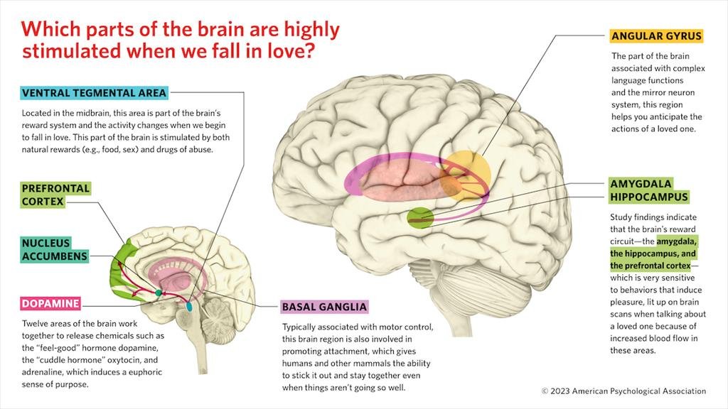 joe24021616's tweet photo. @thegoypride @MakerBurns @StefanMolyneux there you go, im pointing at it https://t.co/9Qa3nynW46