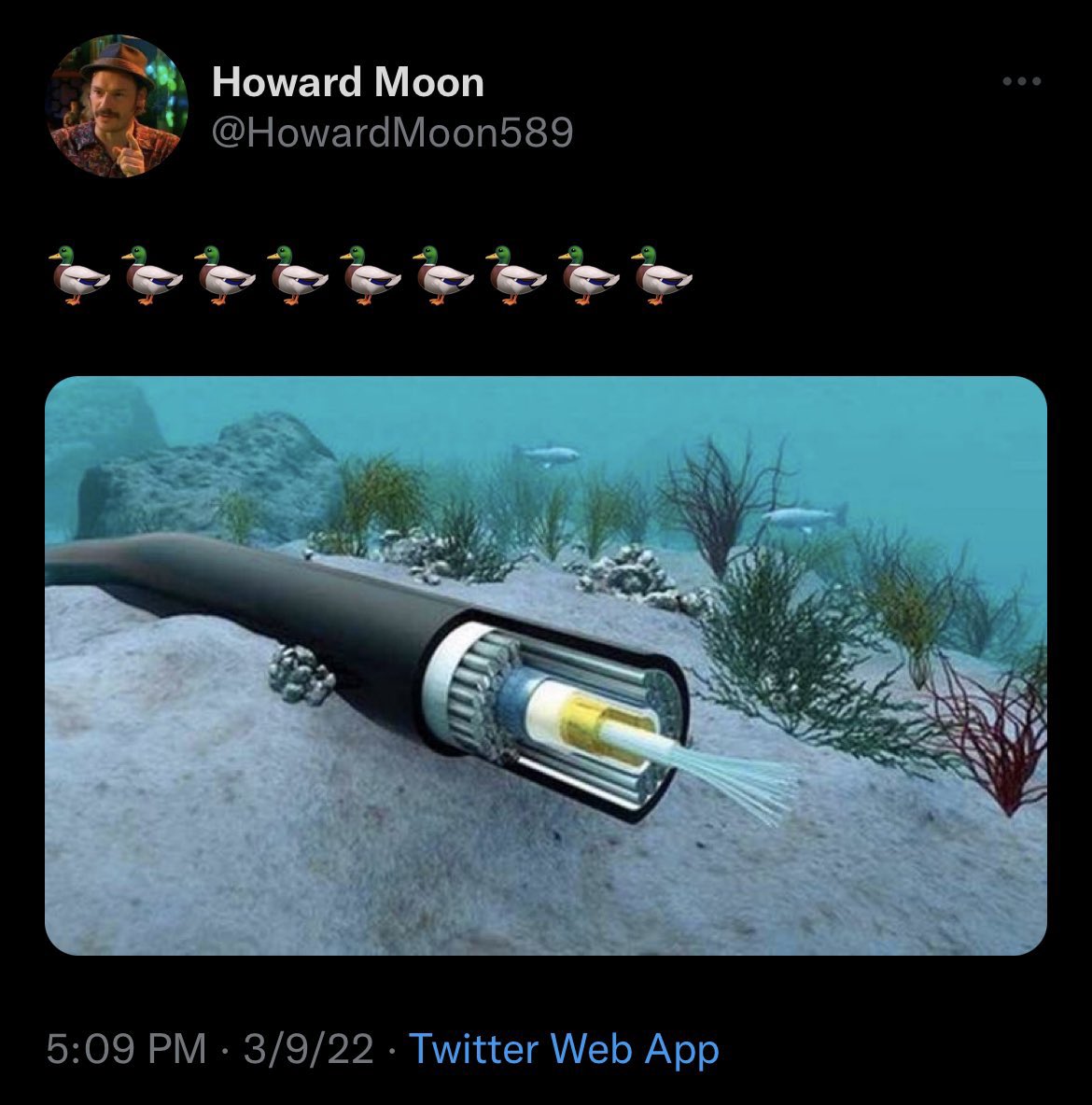 FoJAk3's tweet photo. ⚡️Howard Moon  ♾️  Undersea Cables⚡️

                                     🔄 https://t.co/4eYjbquaVv