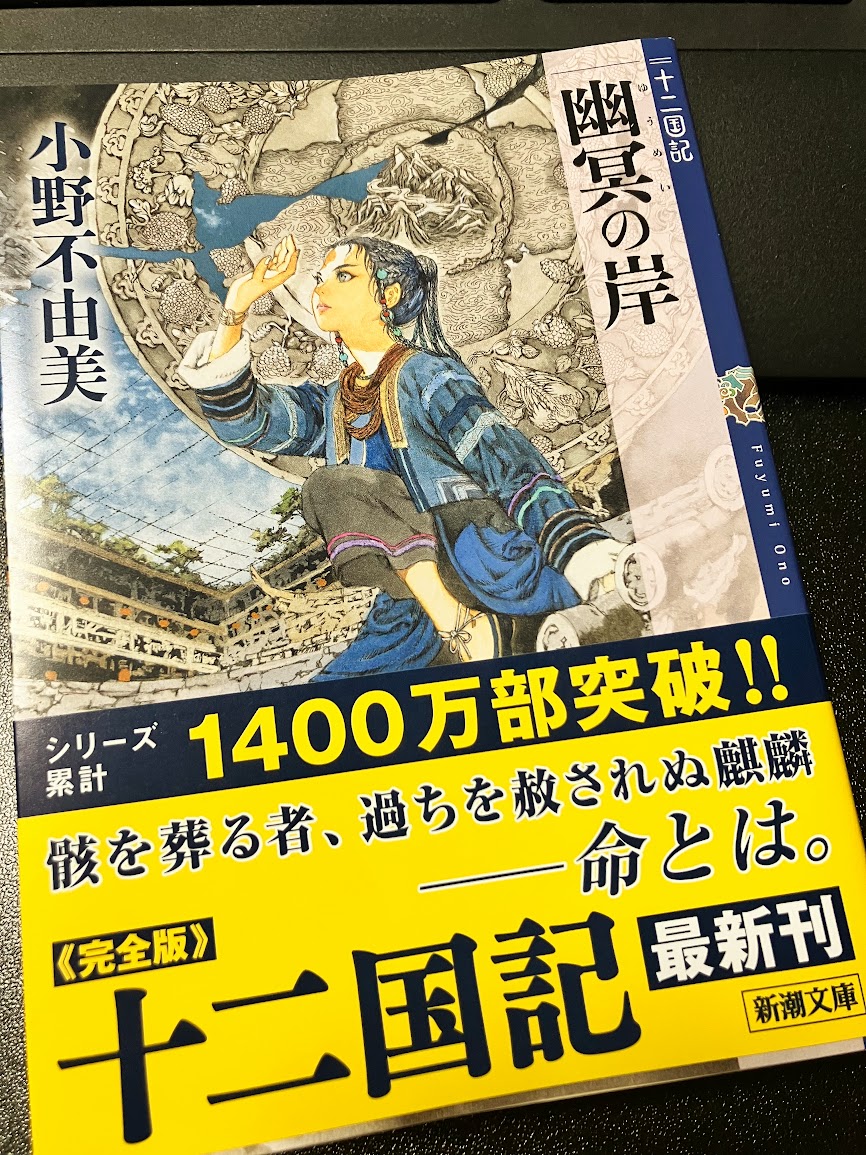 saramoku's tweet photo. 田舎なので一日遅れで入手してやっと読めたわ～
読み終わってから表紙見てほんま琅燦まじ琅燦ってなるなどしてた
あいつ今頃逃亡先で祝杯上げまくってるだろうし驍宗はくそでか溜息つきながら仙籍残したままなんでしょって思うとほんま～ https://t.co/nuG5eP9yEs