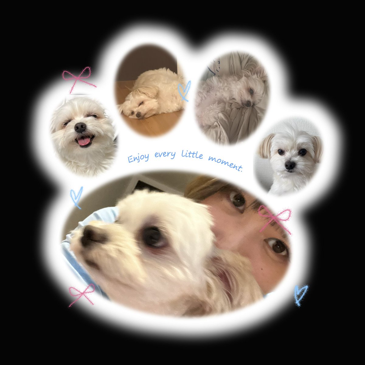 disnyna's tweet photo. ℋ𝑎𝑝𝑝𝑦 ℬ𝒾𝑟𝑡ℎ𝑑𝑎𝑦 しゃりっぴ⸝⸝U  ̫ U⸝⸝ฅ ☆ https://t.co/heVoEbpmcV