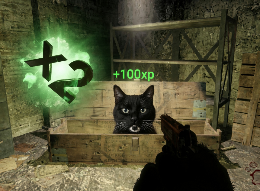 XpCatStonk's tweet photo. double xp weekend https://t.co/rxzuaPRkGo