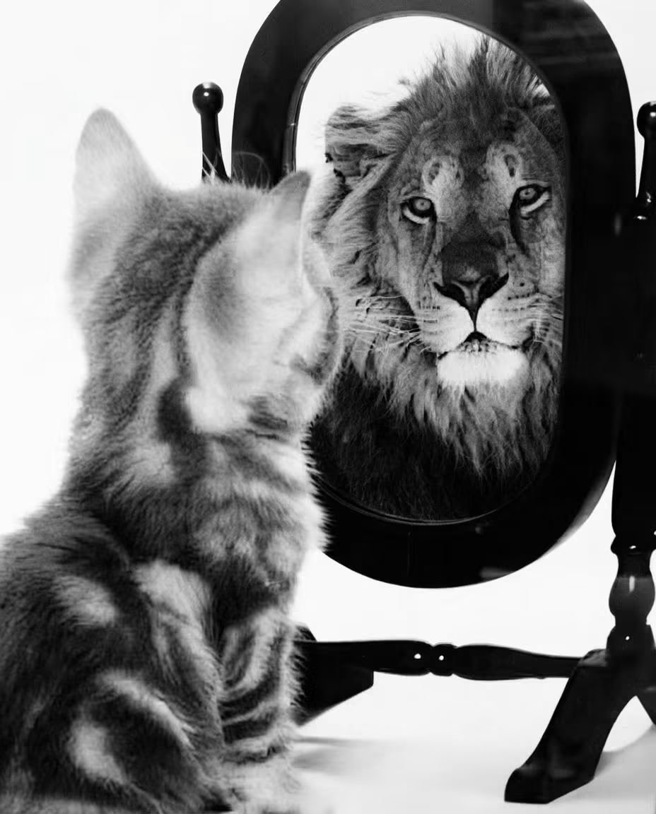 Jkcd1929's tweet photo. If the mirror could show you everything you truly are, you’d never doubt yourself again. https://t.co/Ecly2heWzQ
