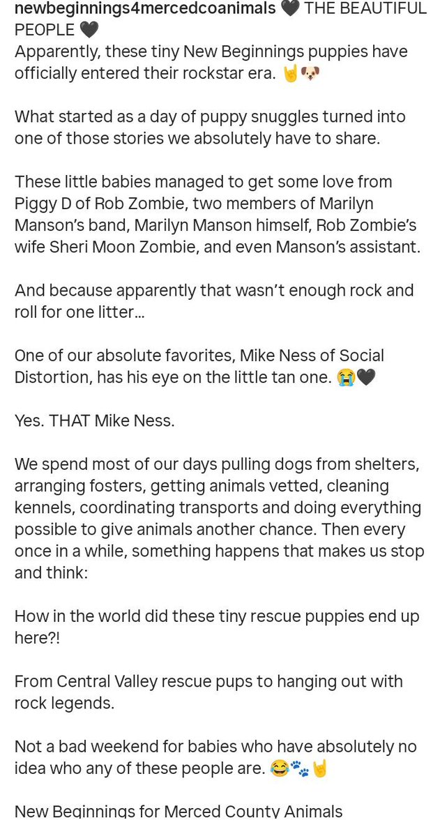 mulder_manson's tweet photo. 🐕🐕‍🦺
📸newbeginnings4mercedcoanimals
Omg look at this lovely message from newbeginnings4mercedcoanimals on Instagram when Marilyn Manson and Rob Zombie visited them 🥹🥹🐕‍🦺🐕 https://t.co/QhXBO1vd0m