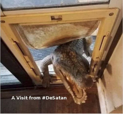 time4kind's tweet photo. . Welcome to Florida!
. #MailVoteBlueEARLY26
or Be Eaten by #DeSepticTank
without his cruddy human camo .. https://t.co/ZOcabD1Se3