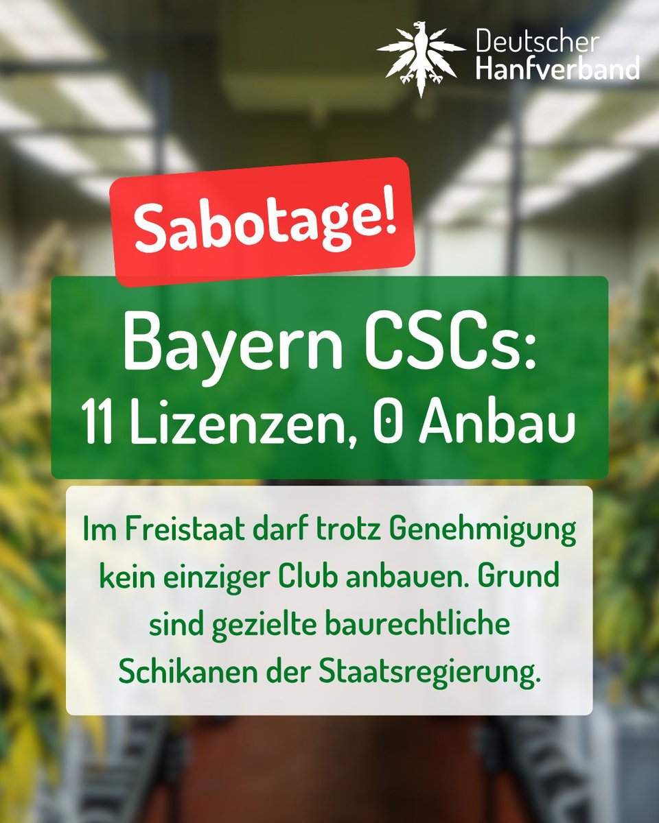 woewe59's tweet photo. @Rosenblumen0 Deswegen muss das #KCanG durch die jetzige Regierung, durch einige Landesregierungen wie die bairische solche auch ständig torpediert werden.
https://t.co/HPDPjXtwQC https://t.co/MFYiA9TnVg