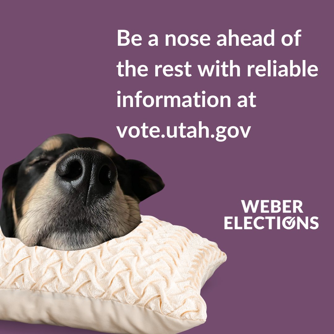 WeberElections's tweet photo. Be a nose ahead of the rest with reliable information at https://t.co/Md0oIkljld
#weberelections #electionsutah #utahelections #webercounty #trustedinfo #informedvoting https://t.co/edE0Ljsul0