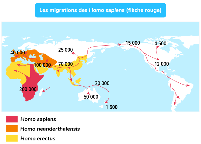 So_schnde's tweet photo. @ThaisEscufon @olivcim Toi aussi grosse conne. Tes putains d'ancêtres ont grand remplacé les autochtones d'Europe, à savoir les Néandertaliens. Dégage de France si tu veux être cohérente https://t.co/vkz65yghKq
