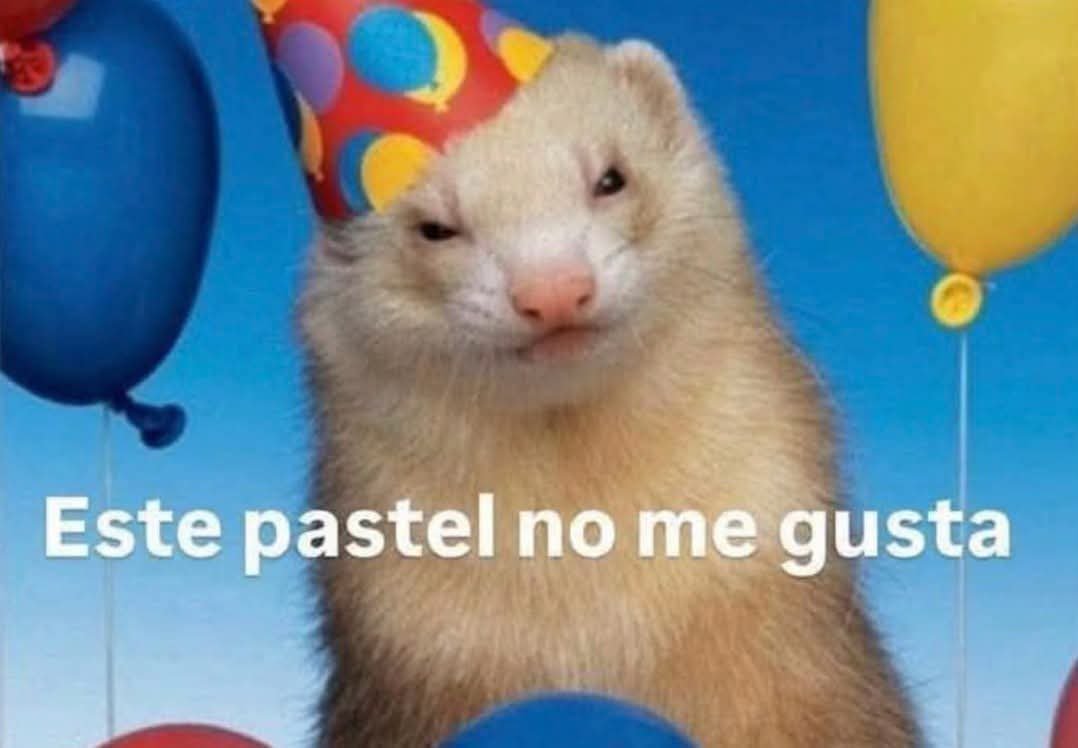 suspirxsalaire's tweet photo. Yo cuando voy a un cumpleaños que no me invitaron y soy ajeno: https://t.co/jW79EvApKE