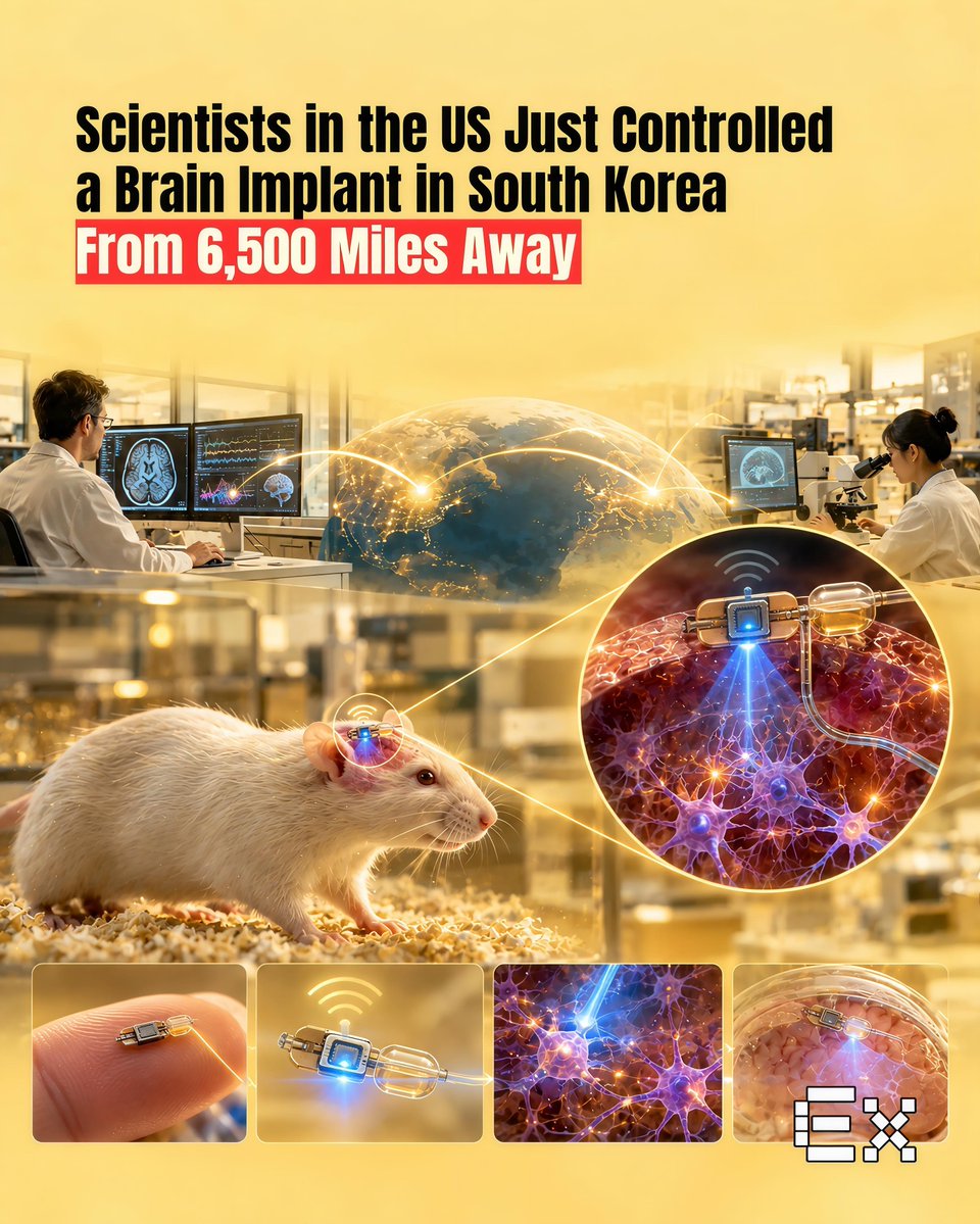 ElementiaX's tweet photo. A brain implant was controlled remotely across 6,500 miles. 🧠🌐

Researchers in Chicago remotely controlled a wireless implant in rats in Daejeon, South Korea, with commands arriving in about 109 milliseconds. https://t.co/KcVbTAQL29