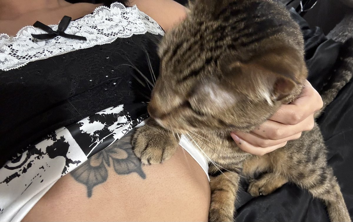izmeaf's tweet photo. am I trippen or is this literally me and my cats twin 🤣 https://t.co/kaO0poEvJy