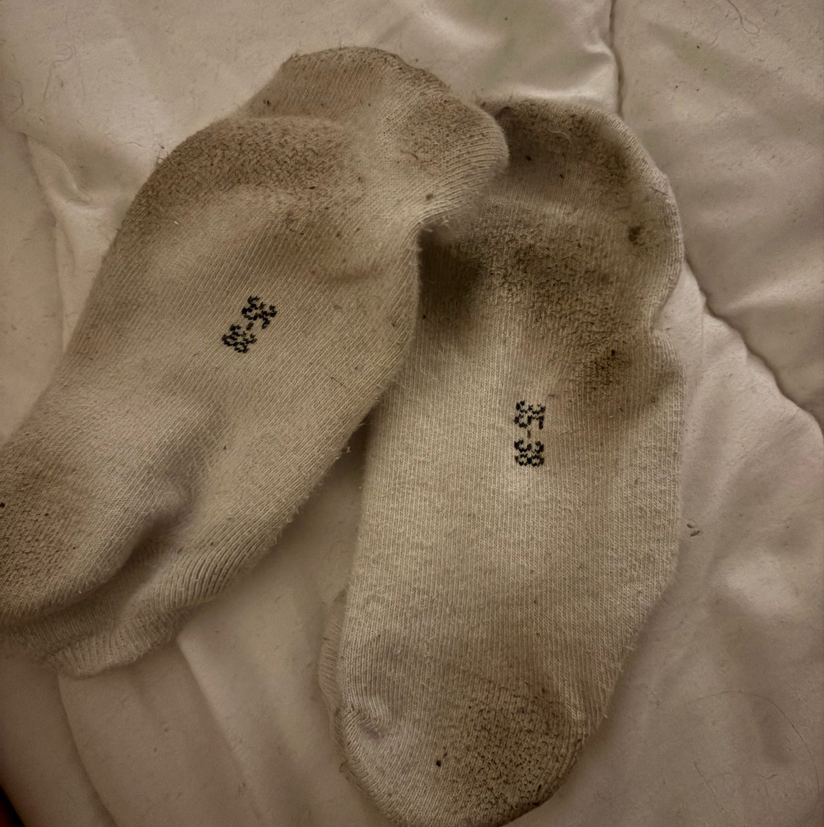 princessmaeva_'s tweet photo. Qui va avoir la chance de pouvoir se faire une infusion 🍵 …
Send me 30€ 💰

#soumis #chaussettes #findom https://t.co/j9mIEnH4BY