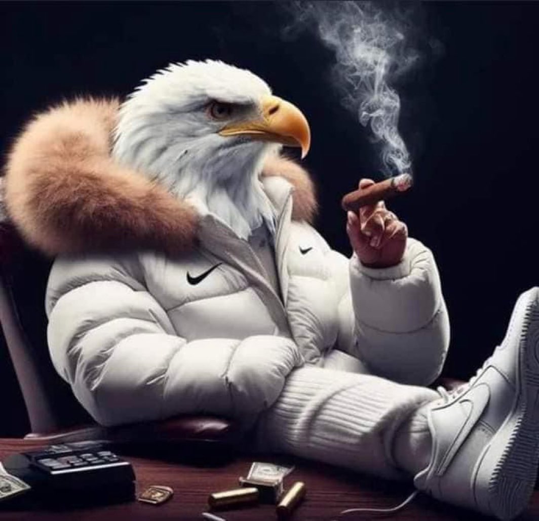 kevfenn's tweet photo. HOW BOUT DEM STYLE POINTS…🥳 GO BIRDS🦅💚🦅🦅🦅🦅🦅🦅🦅🦅🦅🦅 https://t.co/AYGmH2OGB9