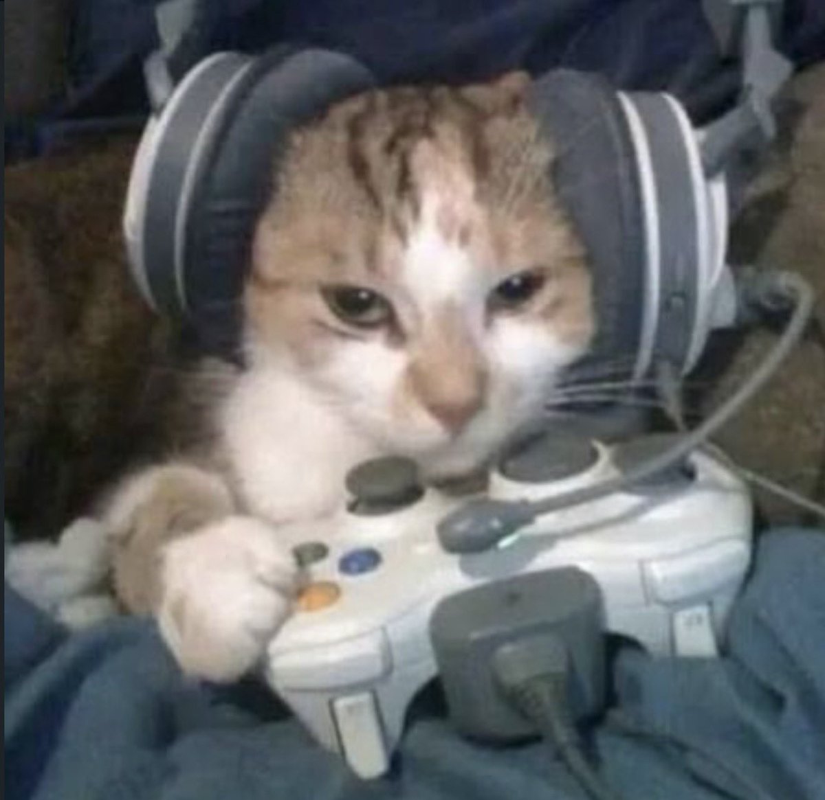 fruitpibble's tweet photo. me and my duo https://t.co/9GOAayqqjy