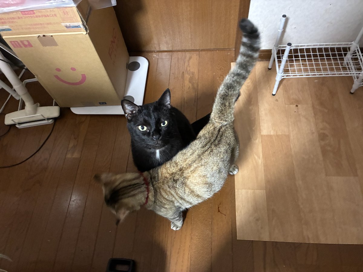 054758373's tweet photo. おはゆ https://t.co/uRWewL3lz7