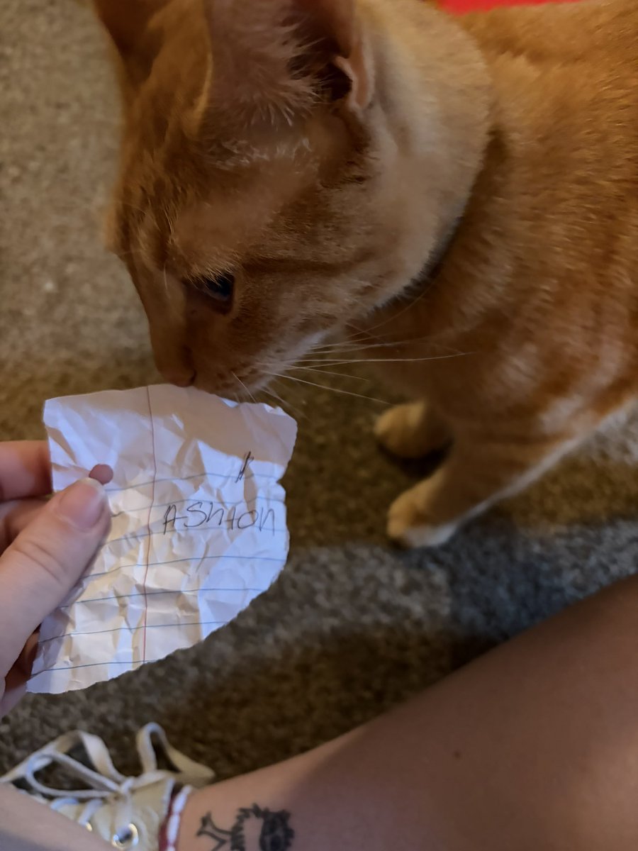 lrhoodings's tweet photo. UPDATE i tried a new method for abaddon and he is officially luke lane (just like his mother) + thorfinn picked a cheat and he’s an ashton cheat!! https://t.co/rIzw6kNEZw