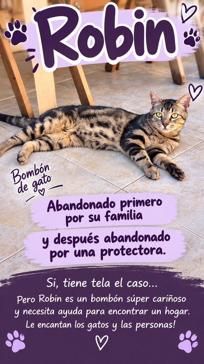 Neinei_rescue's tweet photo. Increíble la historia de Robin, de verdad 😭

Por favor, le ayudas?? https://t.co/RUnuGYBHZY