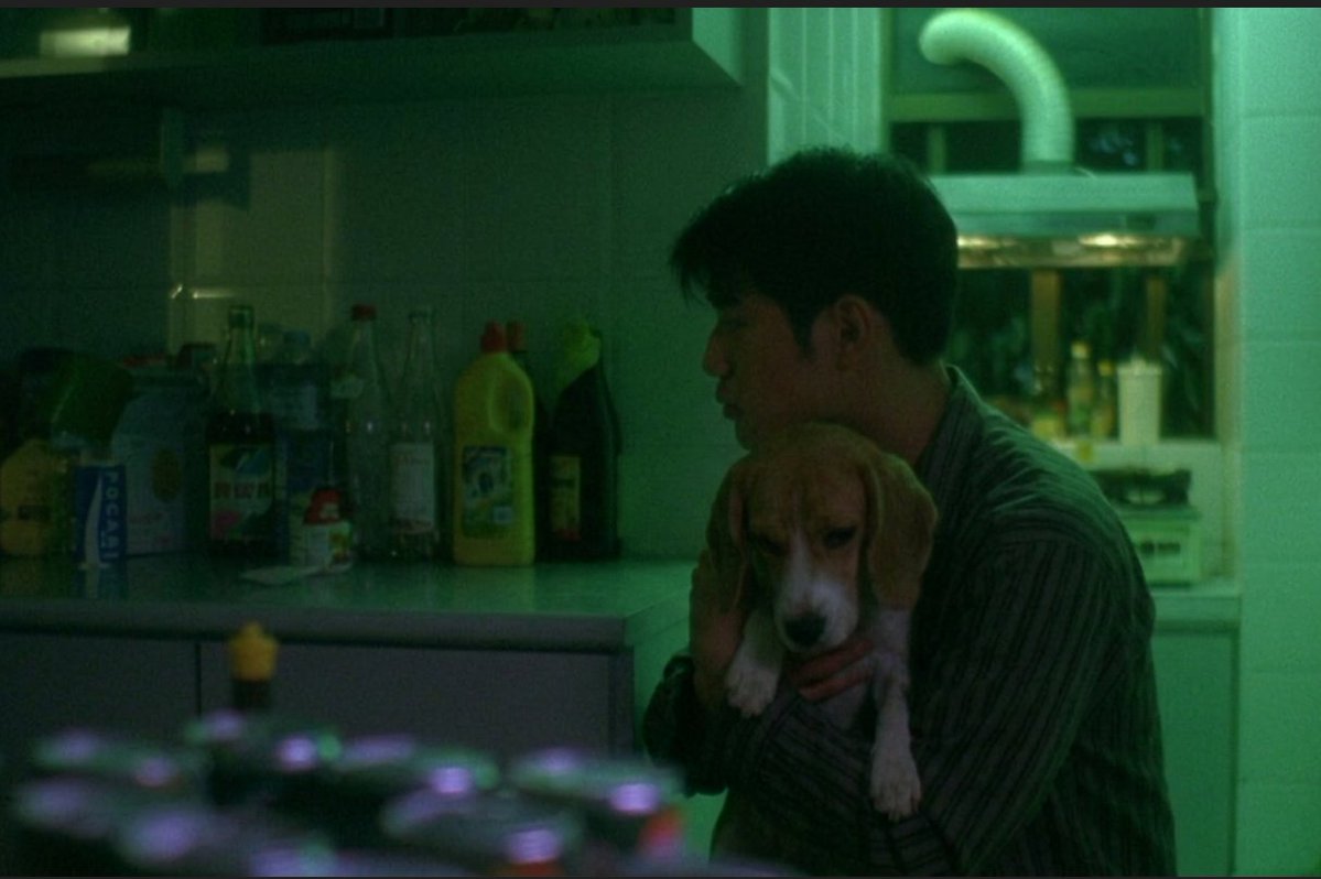 TriviaCinefila's tweet photo. Chungking Express (1994) dir. Wong Kar-wai https://t.co/bO0j29lLBs
