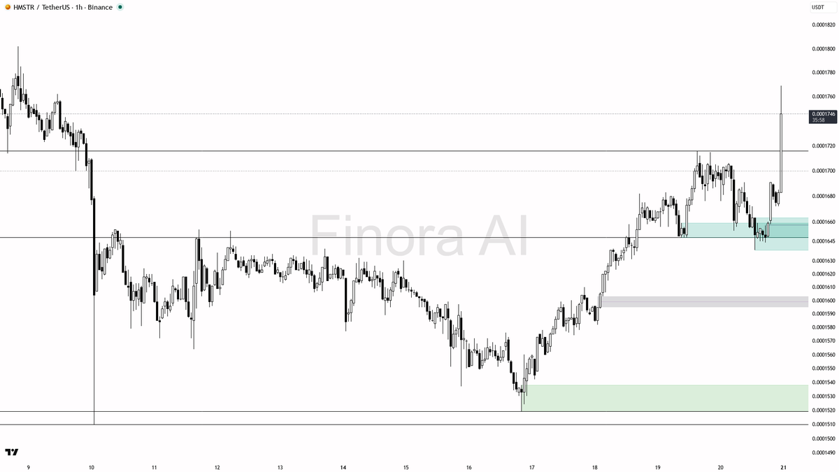 🔥 $HMSTR 8.1x volume spike on buying pressure — 1h bullish structure loading up 
 [📷](https://pbs.twimg.com/media/HSr8NjpWoAA3HVg.png) https://pbs.twimg.com/m
