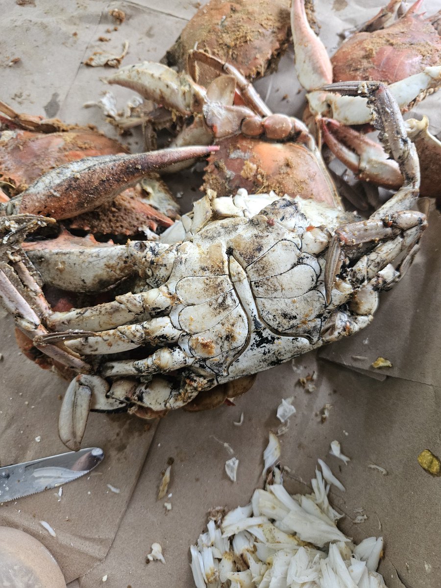 tuckasaurus68's tweet photo. Dark and dirty 🦀 https://t.co/BnlzW2SHu9