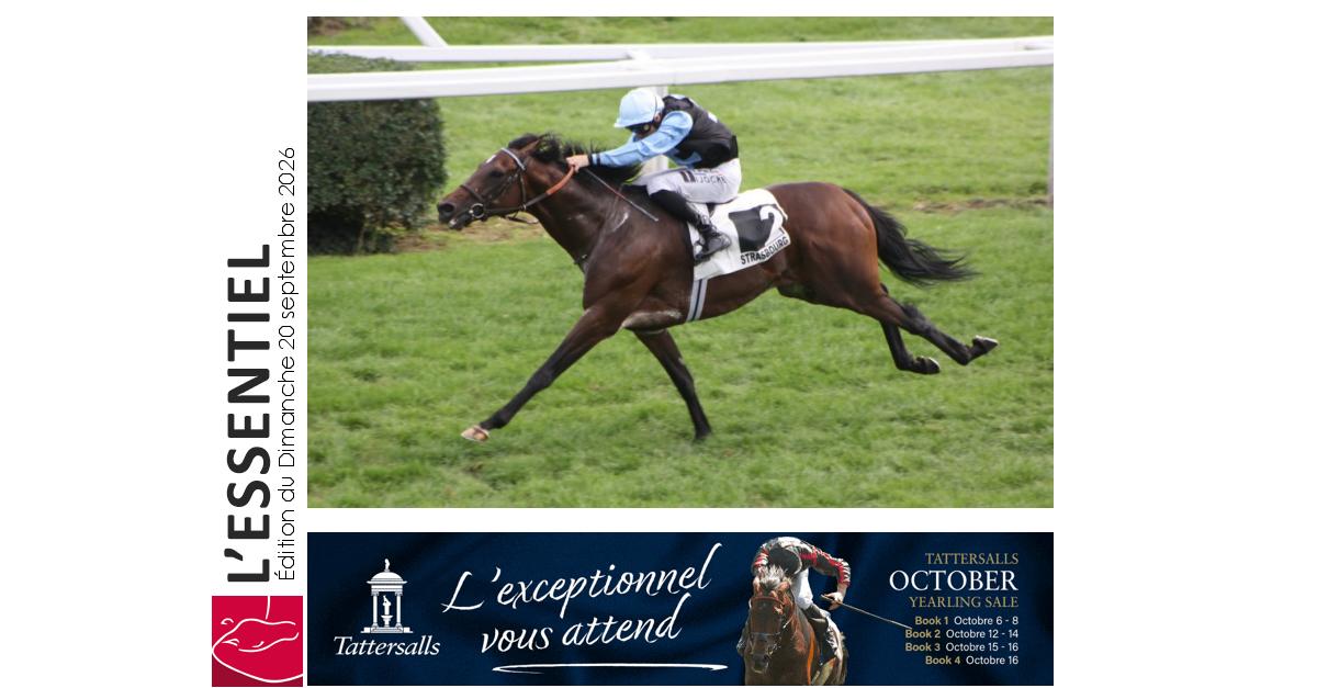 francesire's tweet photo. Belle réunion dominicale sur l'hippodrome de Strasbourg-Hoerdt avec le Grand Steeple remporté par Hill Of Bamboo et le Grand Prix de la Région Grand Est qui revient à Mérano. Belle réunion dominicale sur l'hippodrome de Strasbourg-Hoerdt avec le Grand Steeple remporté par #Hill Of Bamboo et le Grand Prix de la Région Grand Est qui revient à #Mérano#Dynavena
https://t.co/7rVOi2qXEs