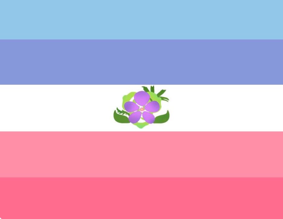 lpscrafts's tweet photo. finally found a label that fits my romantic attraction and i love this flag 😭😭♥️♥️ https://t.co/eGPUP7GlTx
