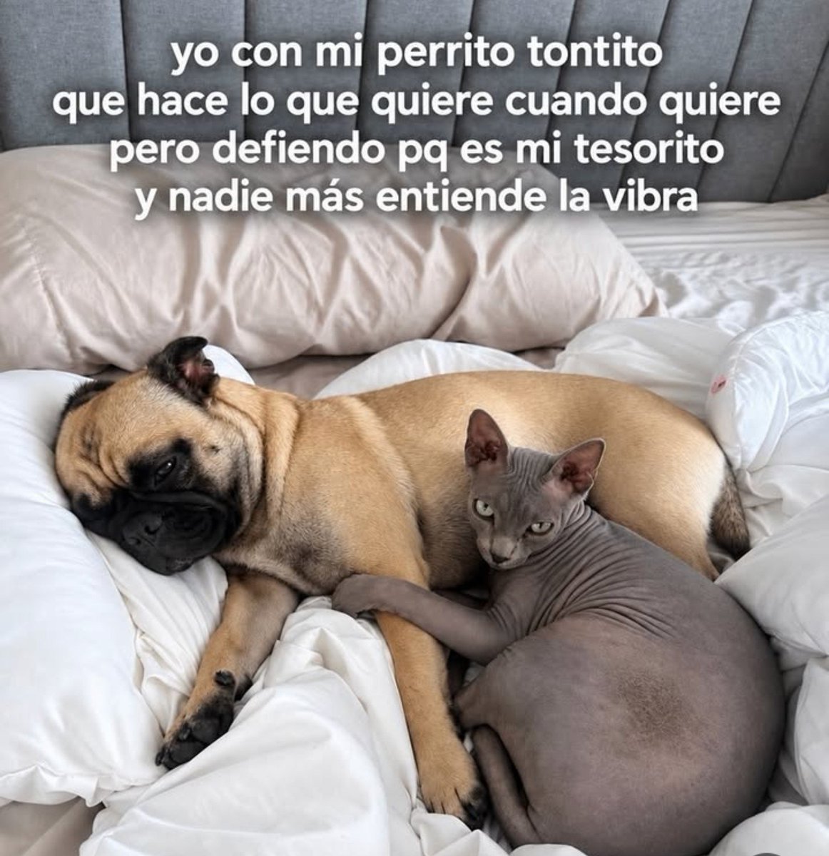 HappyUpdatees's tweet photo. Happy en instagram https://t.co/qGzAEmVkLe