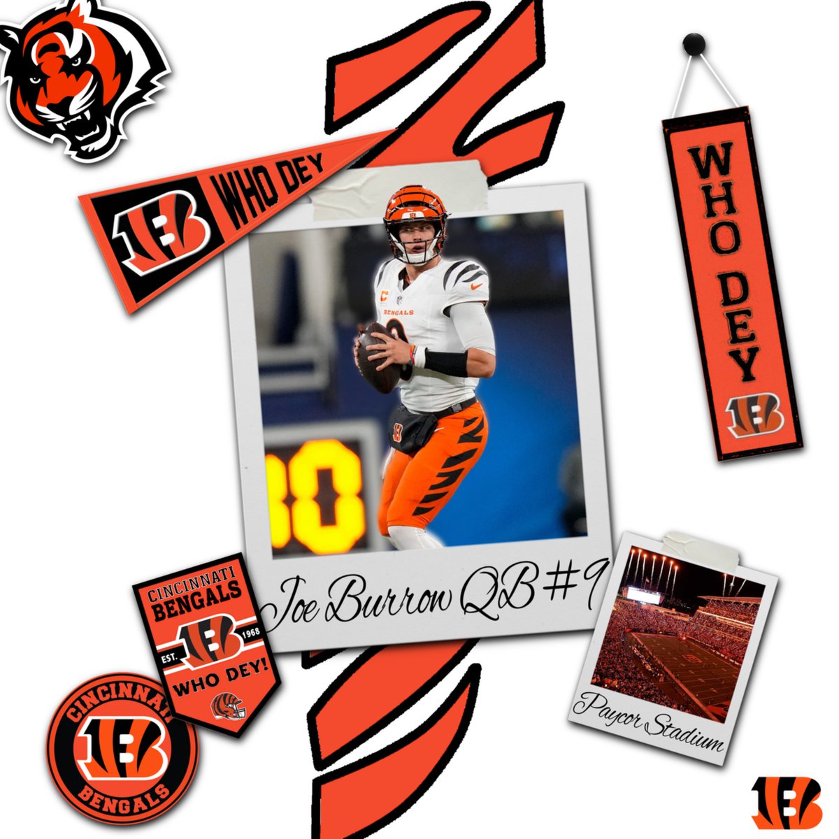 OfficialNTFL's tweet photo. Bengals! https://t.co/HAQLPnWYPv