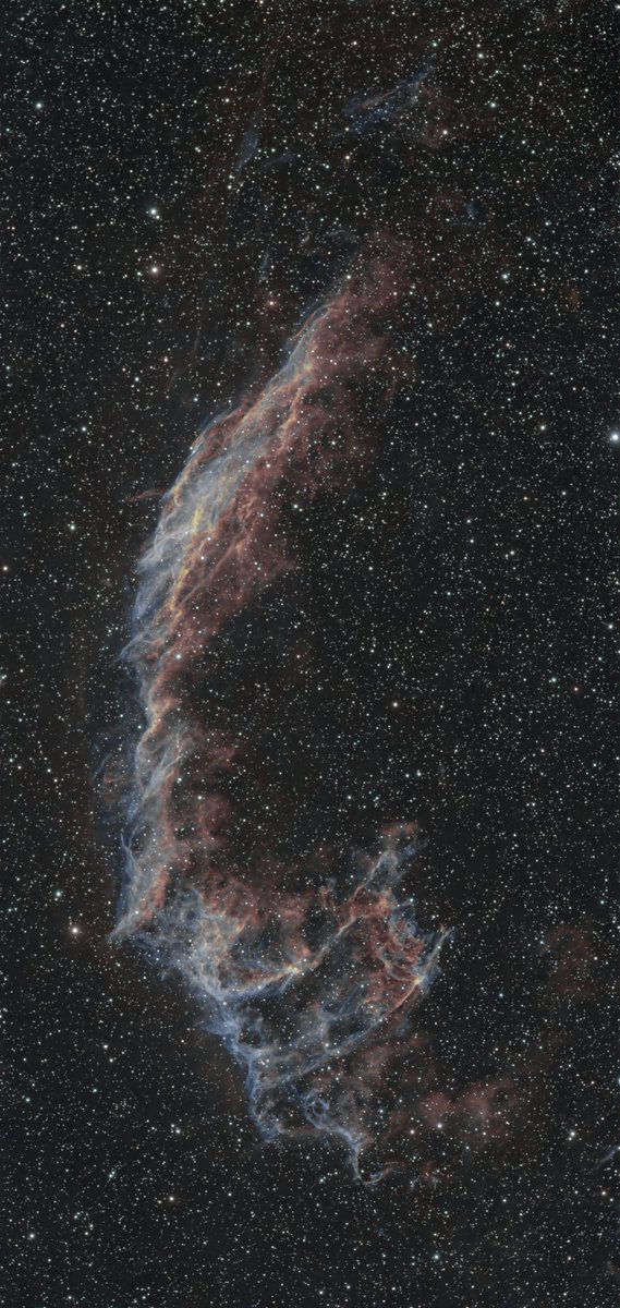 ShreddyBear's tweet photo. Seestar S50 Pro is pretty alright. 

C33 / NGC 6992 the torn eastern rim of a star that went off ~15,000 years ago and would have outshone Venus in daylight.

The “Network Nebula” is just shock-heated gas. Those teal threads are thinner than the Earth–Pluto gap, stretched across a loop 6 full moons wide. Herschel catalogued the pieces separately in 1784 because he didn’t know they were one explosion.