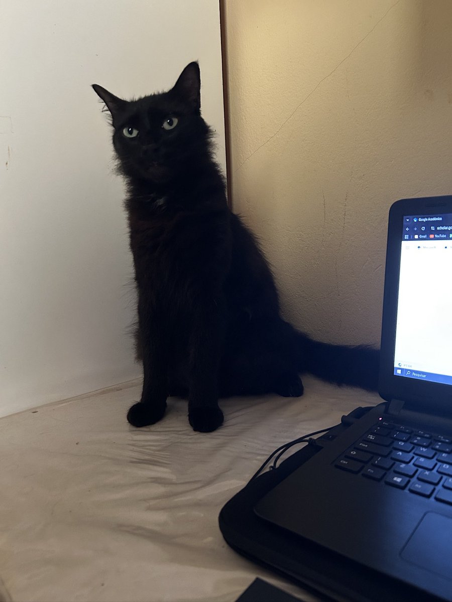 ithvean's tweet photo. sete anos de azar pra quem não desejar feliz aniversário de 5 anos pro Salem https://t.co/KnMJ2YqZGb