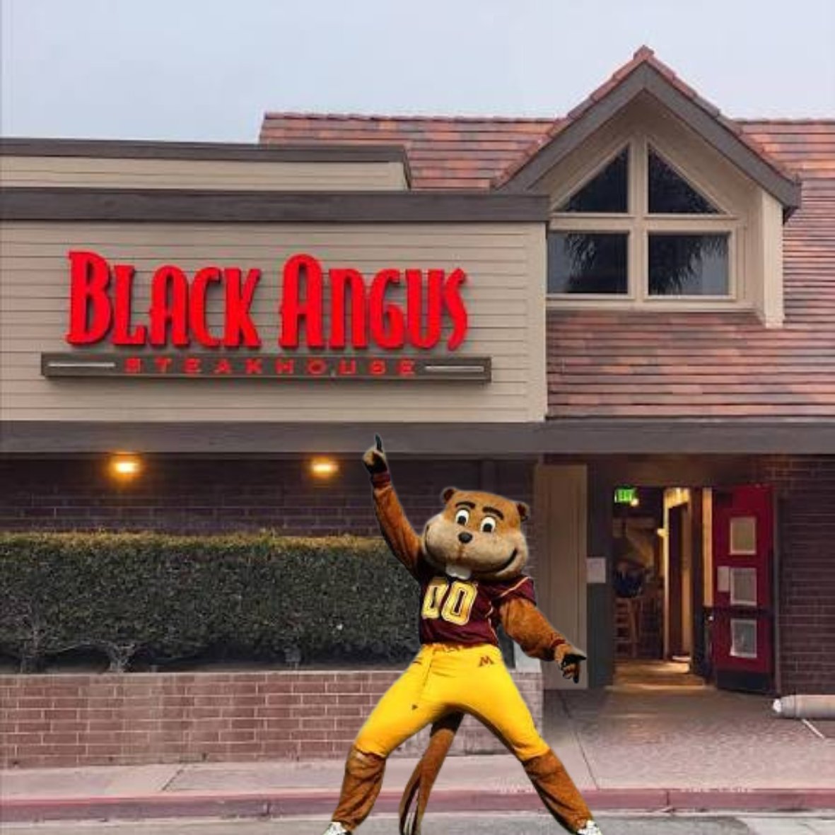 ChrisNotChelios's tweet photo. @GoldytheGopher begged to eat Black Angus, but was disappointed when he realized he had missed the G in the sign.

#OnWisconsin 🦡 #AxeWeek365 🪓 https://t.co/wk0K20cpeM