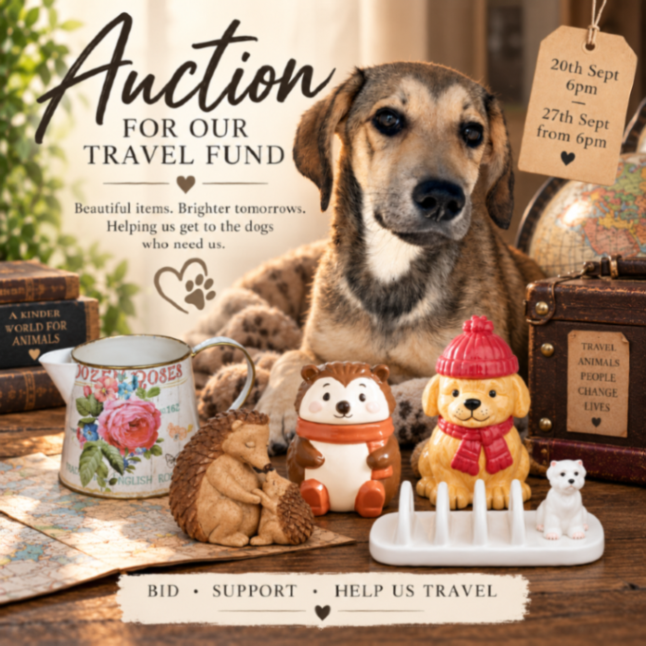 DogDeskAction's tweet photo. OUR AUCTION STARTS TODAY!

We’ve got some lovely items up for grabs, and every penny raised will go into our Travel Fund, helping us get where we need to be for the dogs

⏰ 20 Sept, 6pm – 27 Sept, from 6pm

Have a look, place a bid and help us keep moving

https://t.co/wnToya5eSM