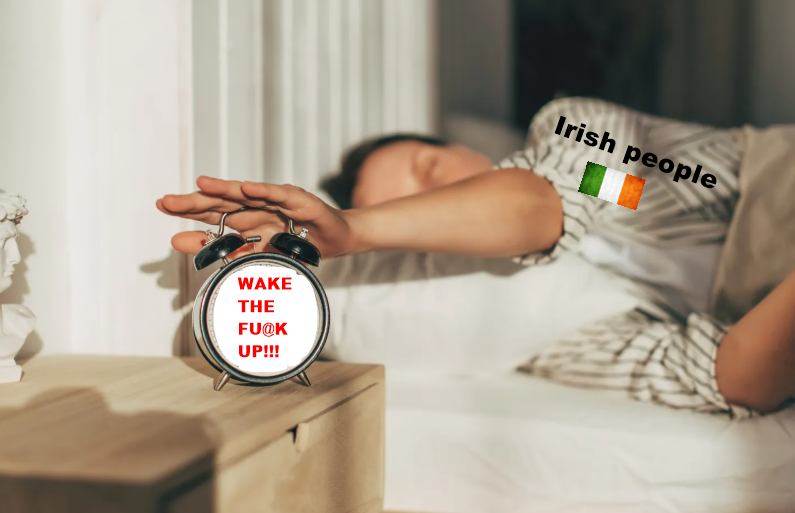 Maximil86429959's tweet photo. Éire is heading in the same direction as Sweden, where Sweden's traitorous govt flooded the country with migrants &amp; gave them the right to vote, which they did &amp; they voted for the govt that gave them everything they need, which keeps the govt in power

This will happen in Éire👇 https://t.co/EE5jWJrBaj